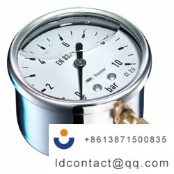 MIT3-D22.B33_Bourdon Stainless Stee